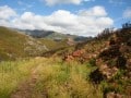 Cats-pad,Franschhoek Valley Walk