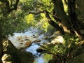 DuToitsriver,Franschhoek Valley Walk